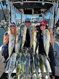 Mahi mahi