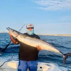 Cabo San Lucas Report Photo 2