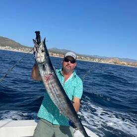 Cabo San Lucas Report Photo 1