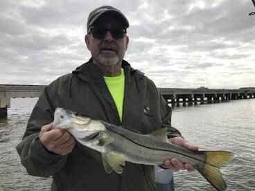 Inshore and near shore 