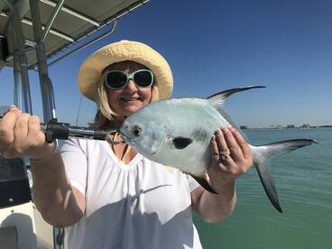 Sarasota Report Photo 1