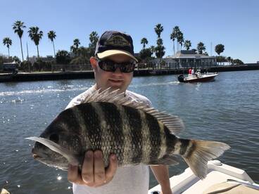 Sarasota Report Photo 2