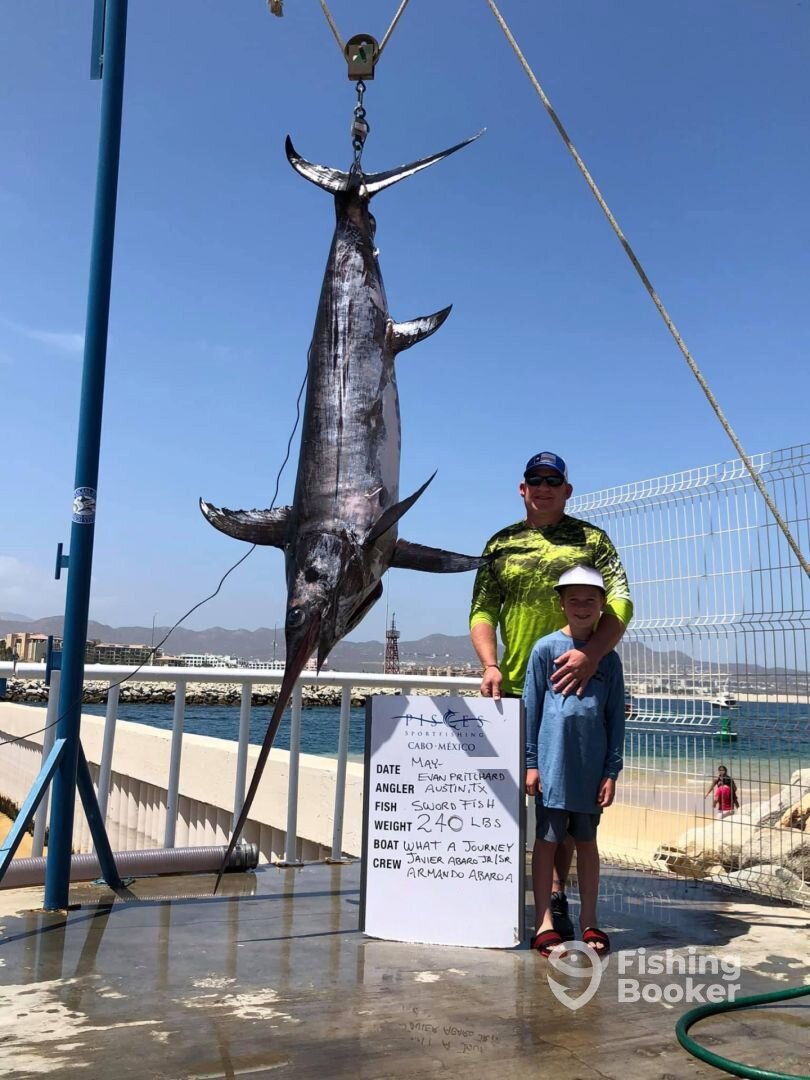 Cabo San Lucas Report Photo 0