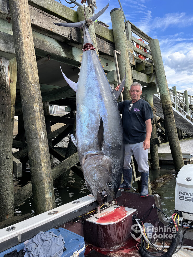 Mattapoisett Report Photo 0