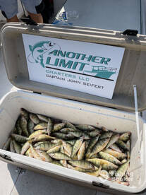 Lakeside Marblehead Report Photo 2