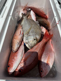 Chris filled the box