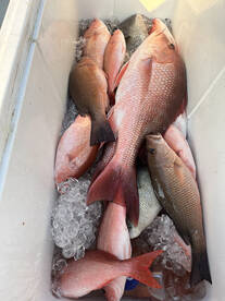 Orange Beach Report Photo 2
