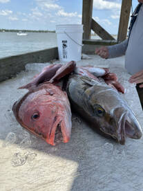 Orange Beach Report Photo 1