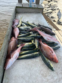 Orange Beach Report Photo 2