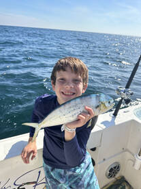 Orange Beach Report Photo 2
