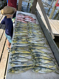 Orange Beach Report Photo 1