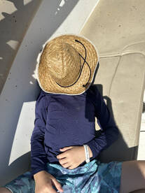 Nice haul of mahi mahi