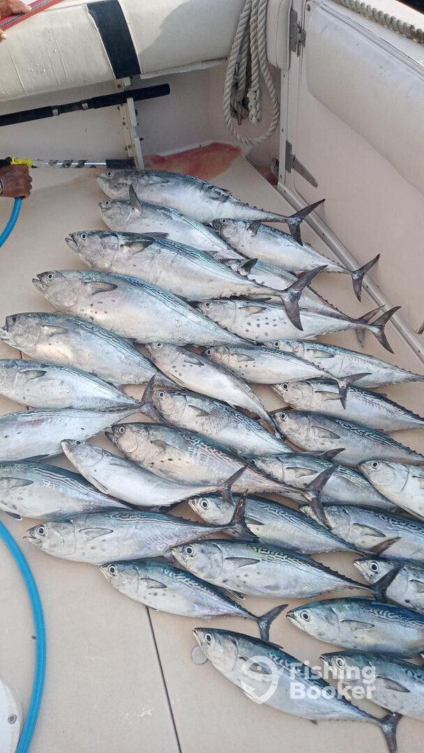 San Miguel De Cozumel Report Photo 0