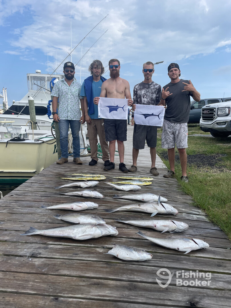 Manteo Report Photo 0