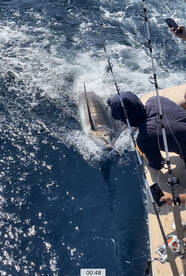 Manteo Report Photo 1