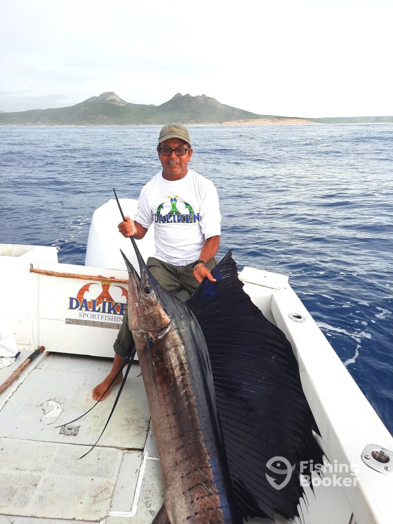 San Jose del Cabo Report Photo 0