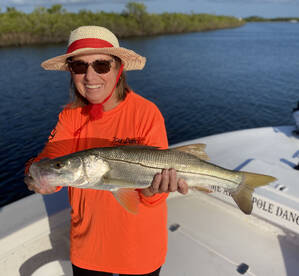 Snook Season Open
