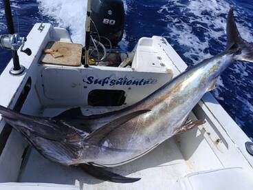 San Jose del Cabo Report Photo 1