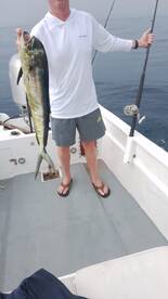 San Jose del Cabo Report Photo 2