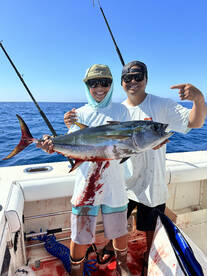 Mahi limits and steady yellowfin tuna