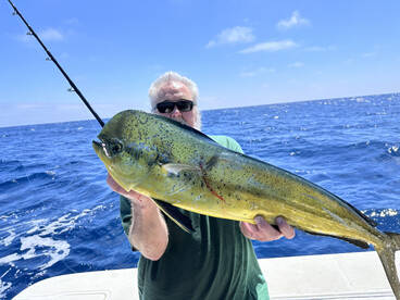 Mahi limits 