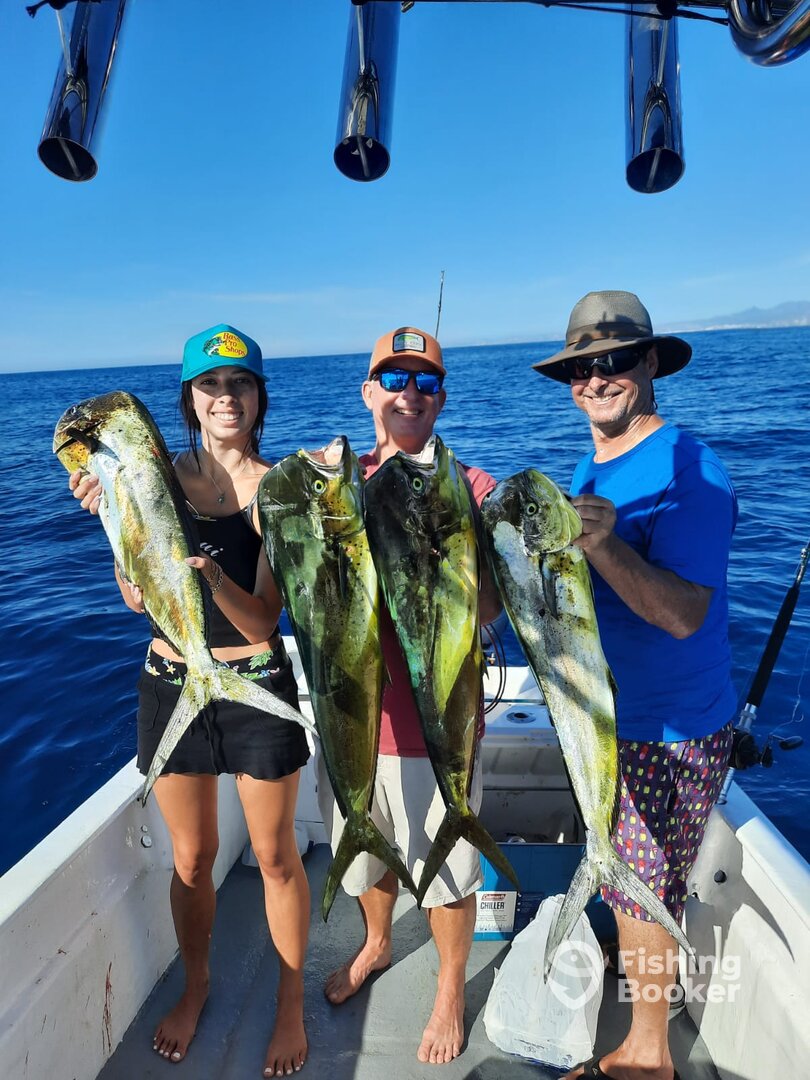 San Jose del Cabo Report Photo 0