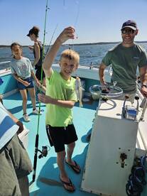 Solomons Report Photo 2