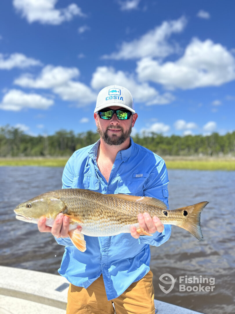 Beaufort Report Photo 0