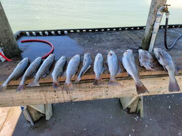 Trout fishing is heating up!!
