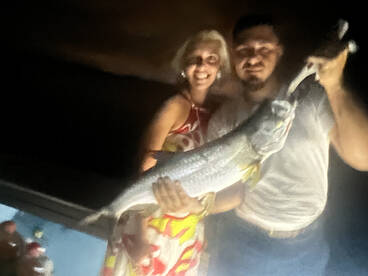 Tarpon an snook  