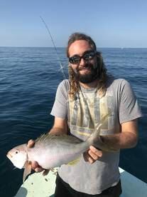 Yellowtail Snapper on the Reef 