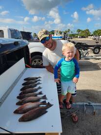 Mangroves were chewing