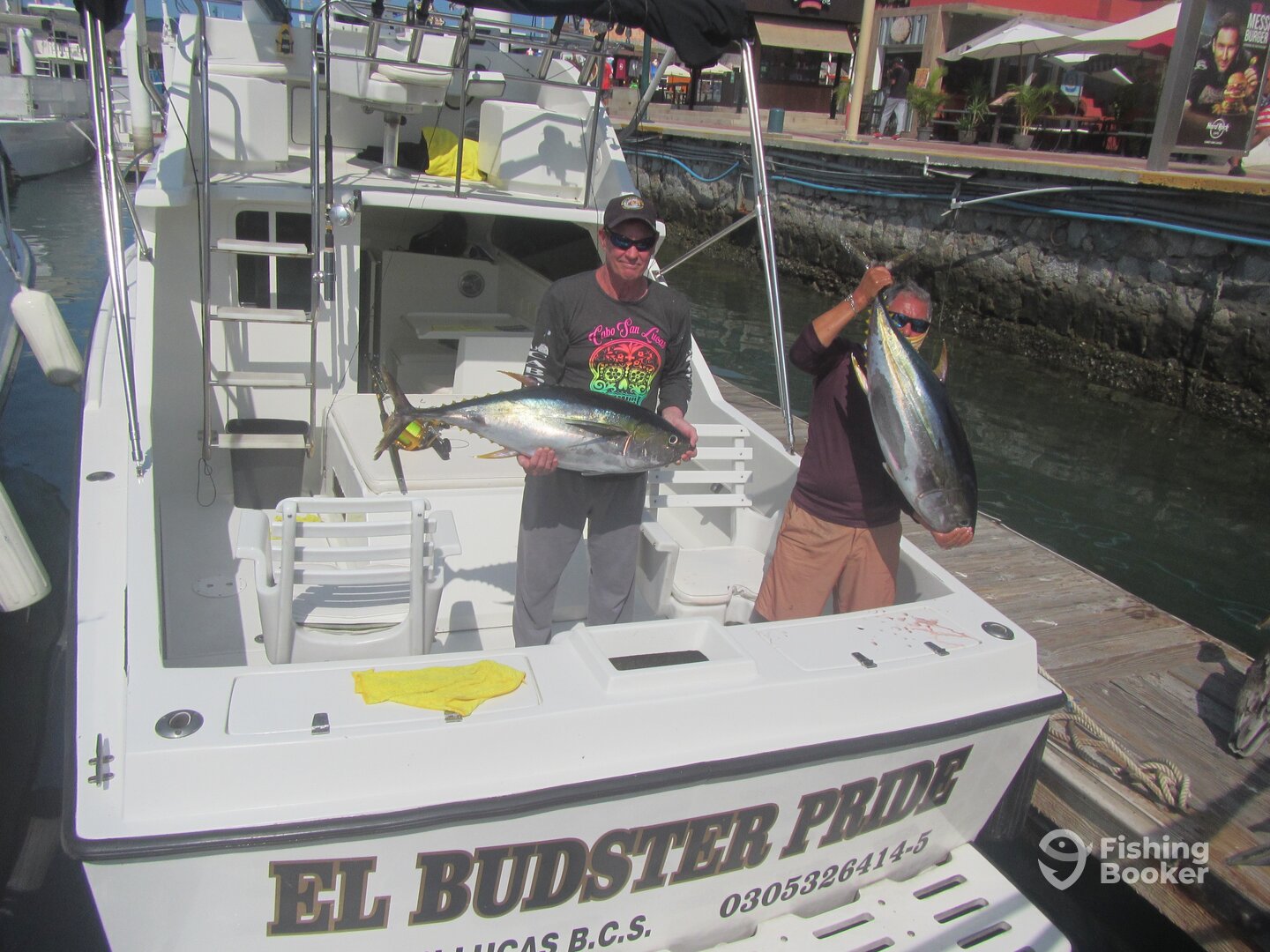 Cabo San Lucas Report Photo 0