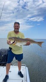 Bull reds are active