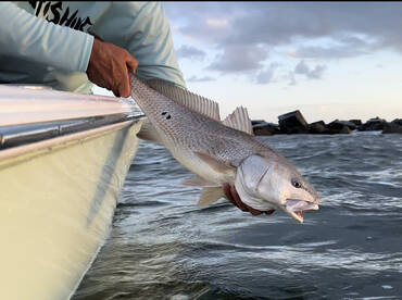 Edgewater Report Photo 1