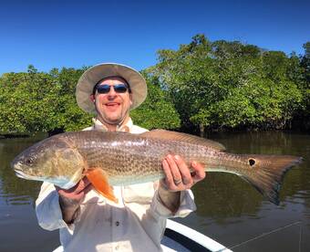 Steady February Action