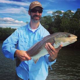 Naples Report Photo 1