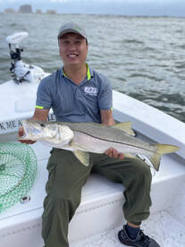 Awesome Snook Bite
