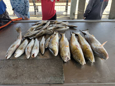 BIGA BOXES out of the boat!!!