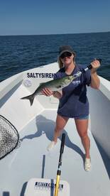 Ridge Report Photo 1