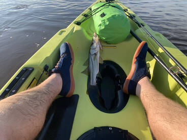 Fort Myers Report Photo 2