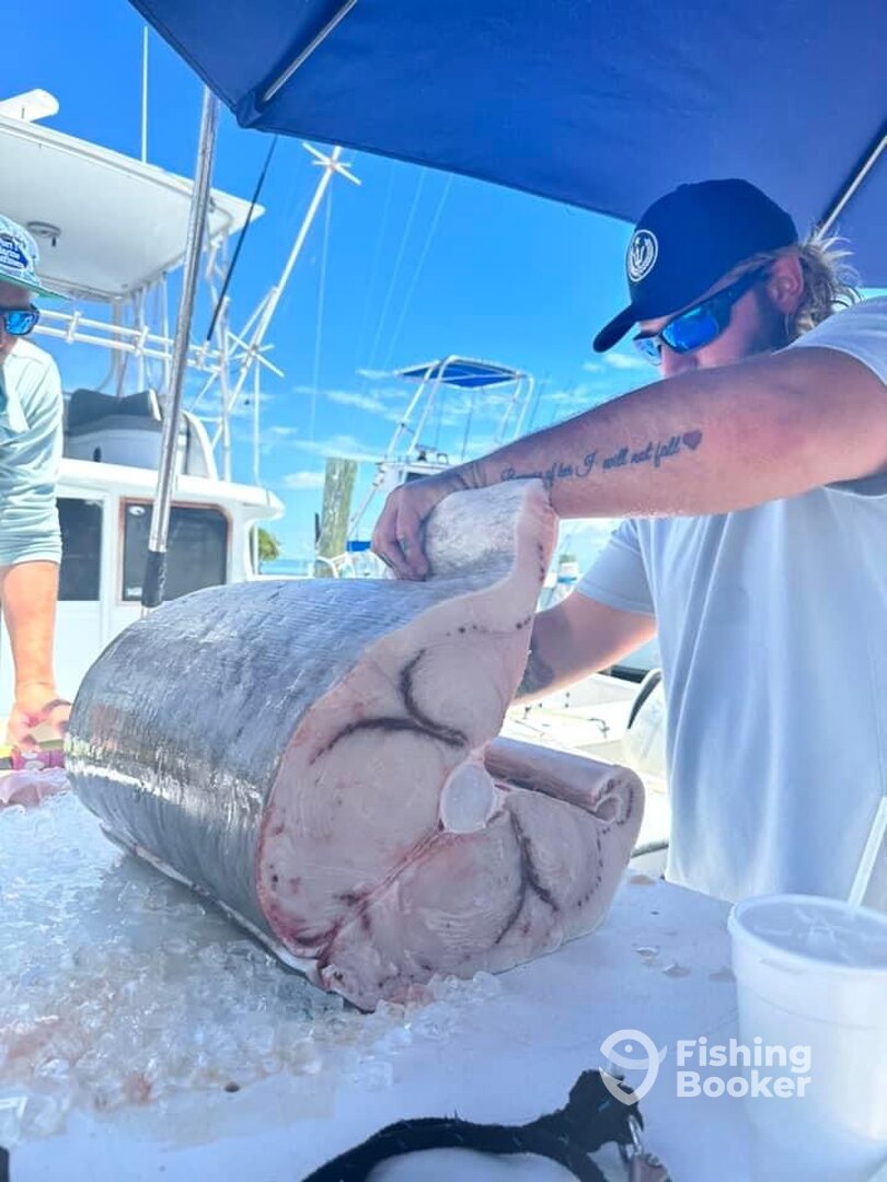 Islamorada Report Photo 0