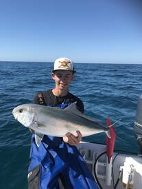 St. Petersburg Report Photo 1