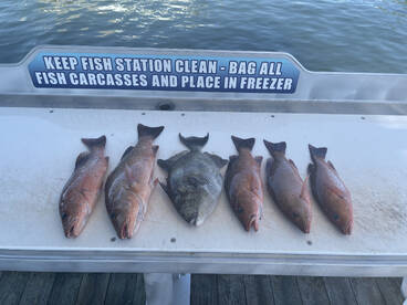 Quick fun trip for dinner 