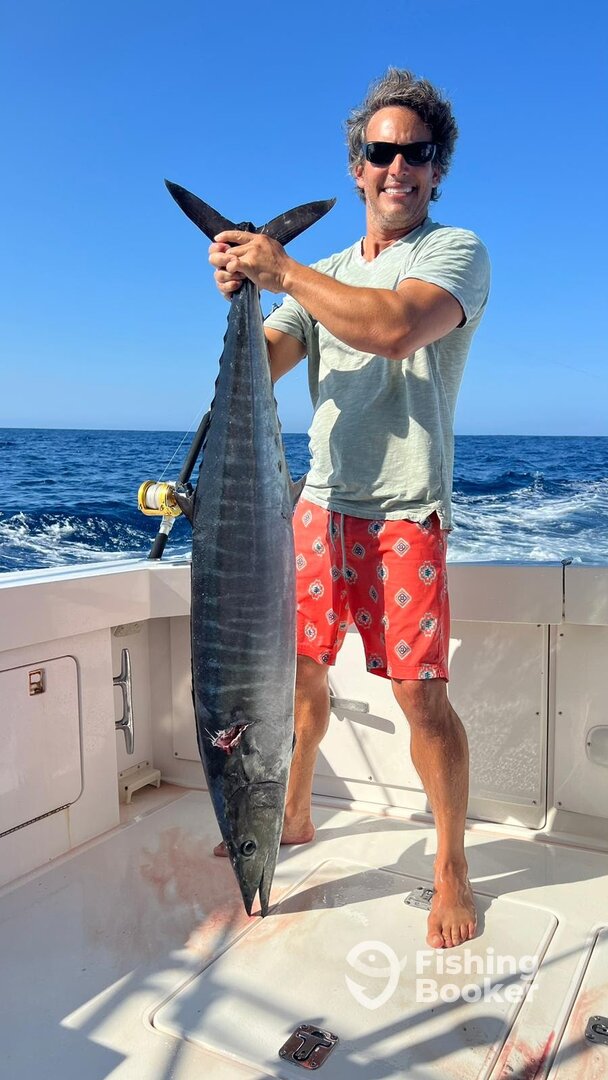 San Jose del Cabo Report Photo 0