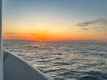 Port Orange Report Photo 1