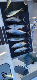 San Diego Report Photo 1