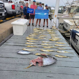 Virginia Beach Report Photo 2