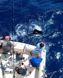 Virginia Beach Report Photo 1