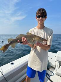 Steady bite on haddock, cod, pollock, an